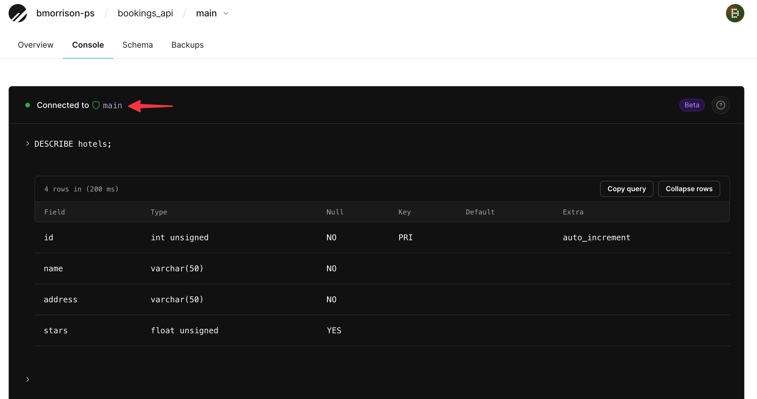 The Console tab of the main branch with the output of DESCRIBE hotels.