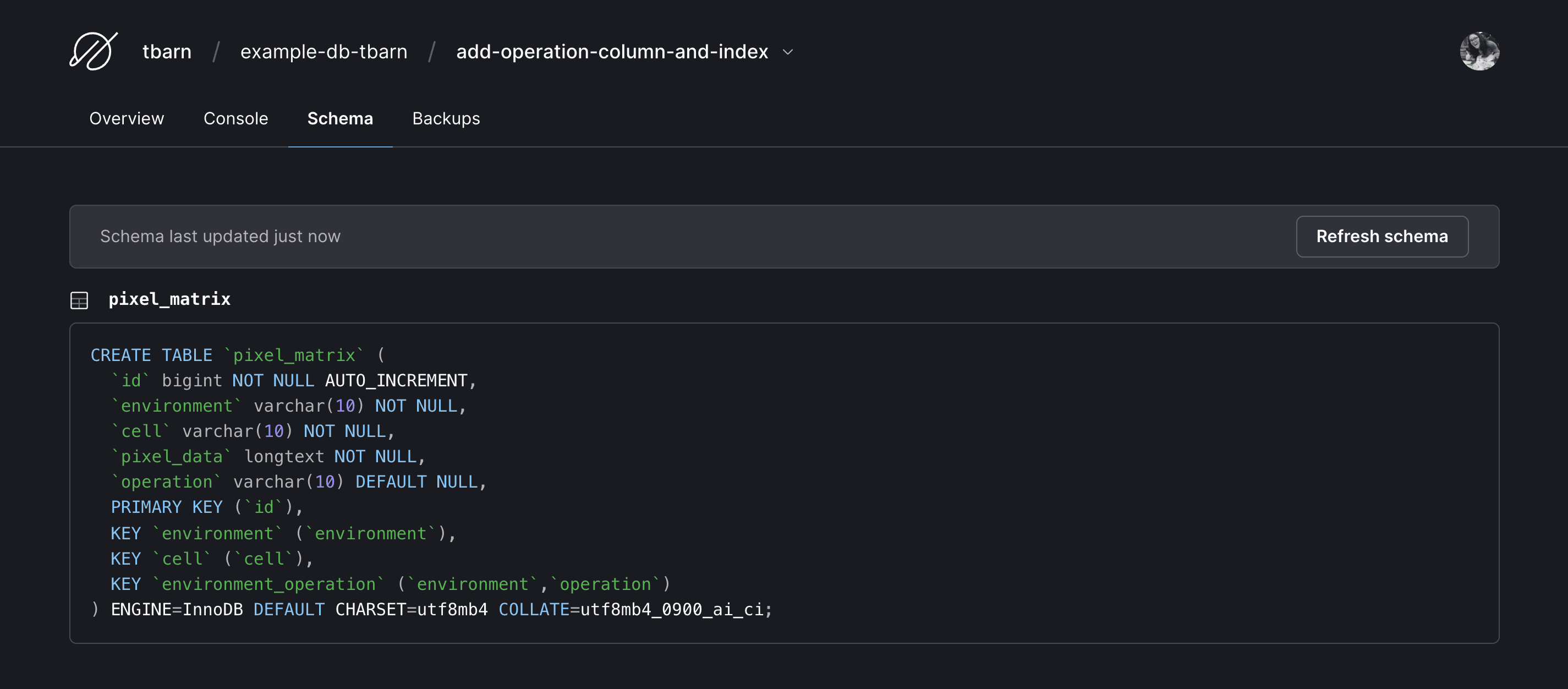 Showing PlanetScale branch updated schema