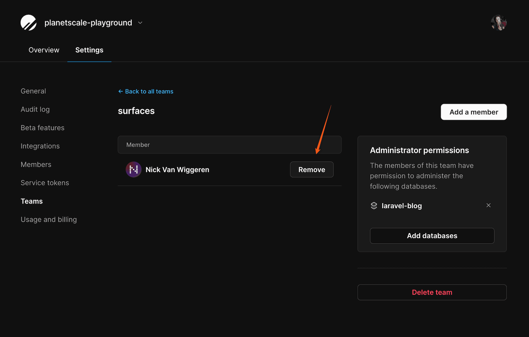 Dashboard UI - Delete a member from a team