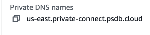 private_dns