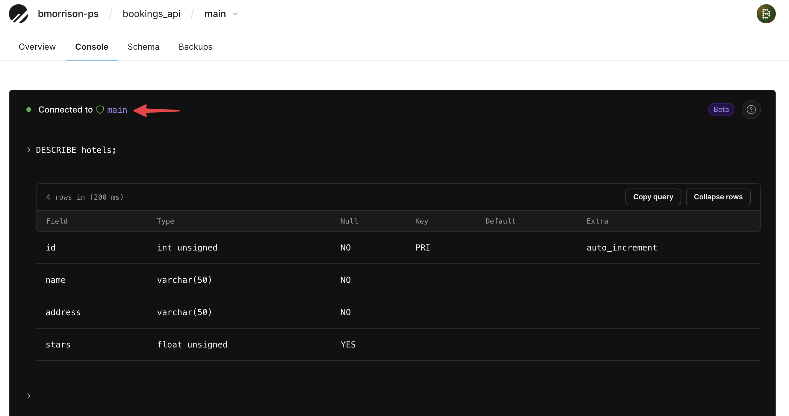 The Console tab of the main branch with the output of DESCRIBE hotels.