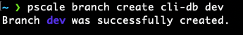 output from creating dev branch in cli-db