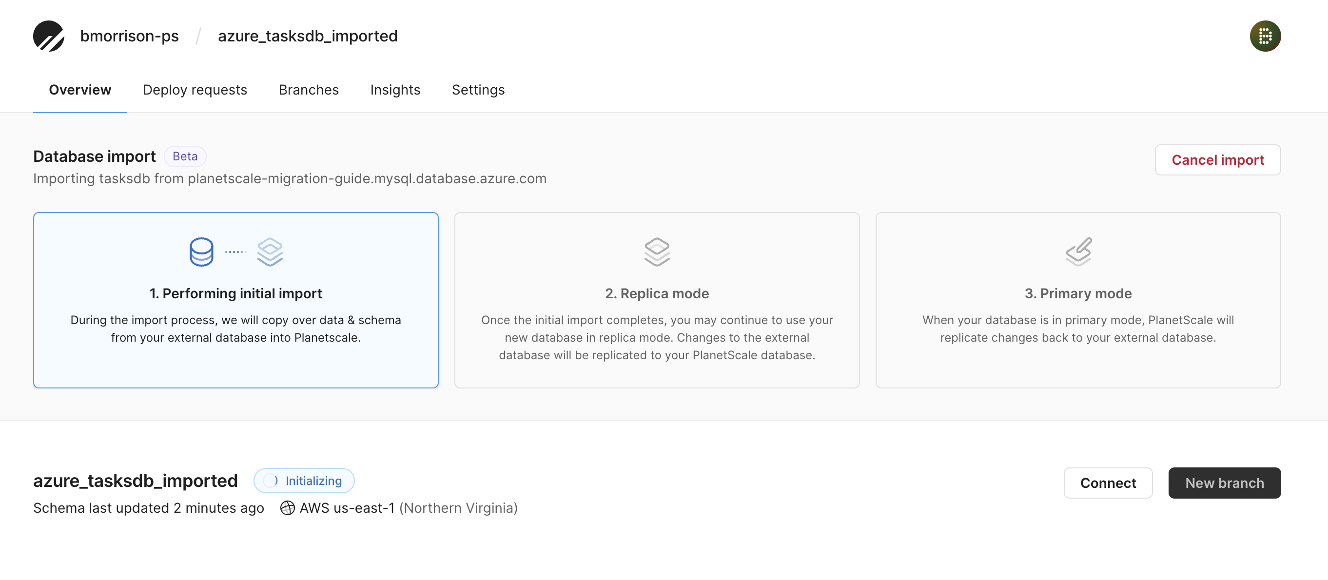 The Database import view during the initial import process.